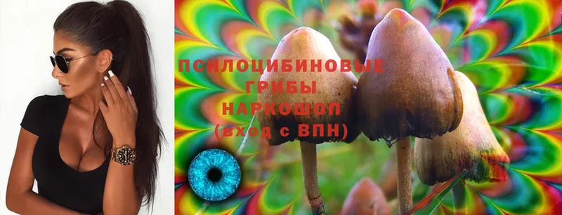 kraken как войти  Лобня  Галлюциногенные грибы MAGIC MUSHROOMS 